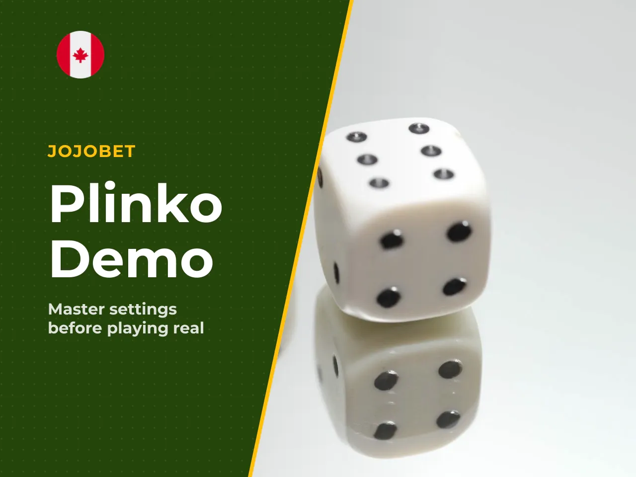 3.2 What You Can Check in