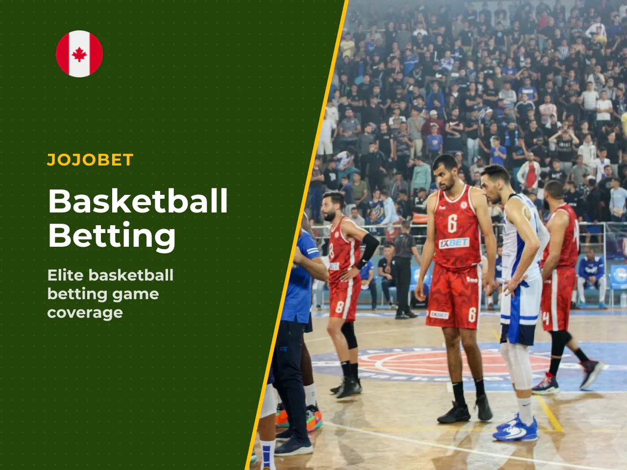 EuroLeague, NBA ve FIBA ligi içerikleri
