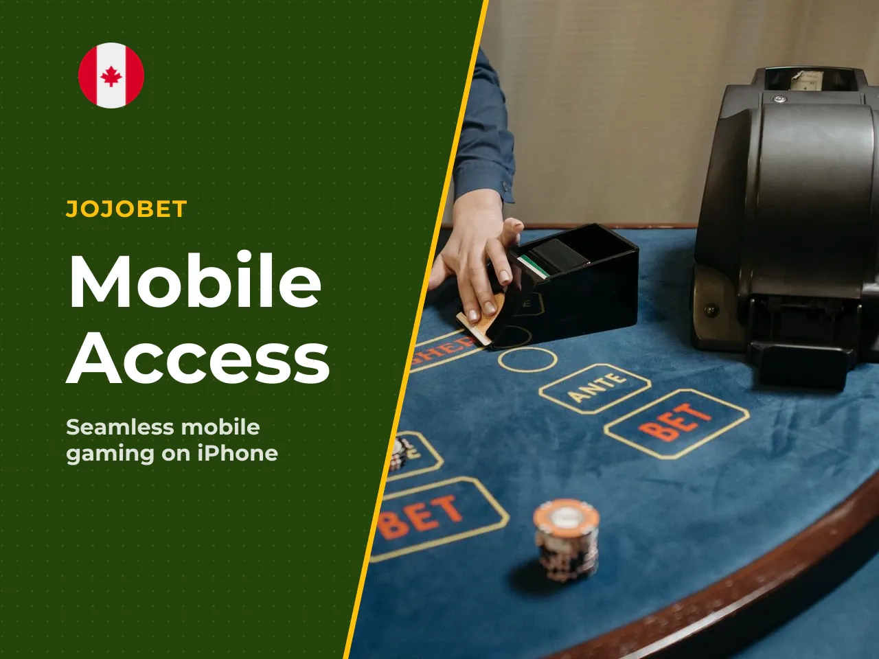 Jojobet App and the Mobile Version
