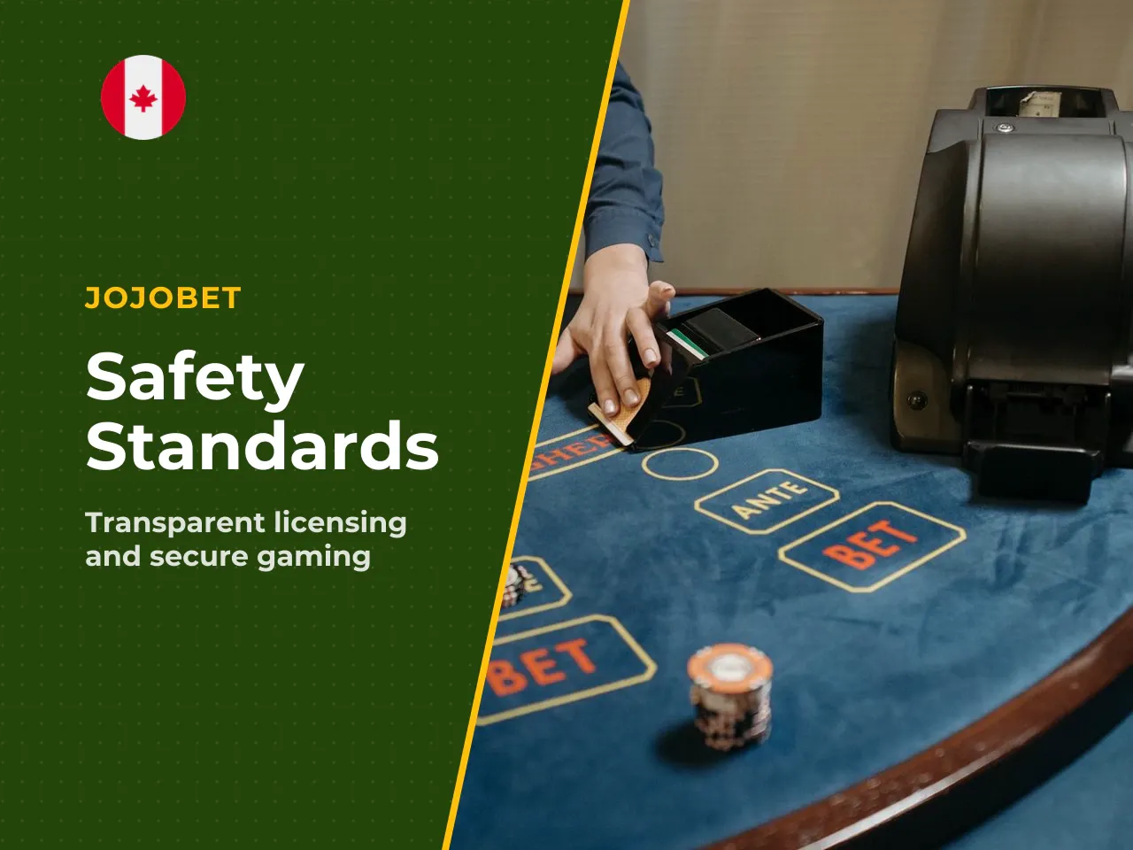 - Licensing and regulator verify licence