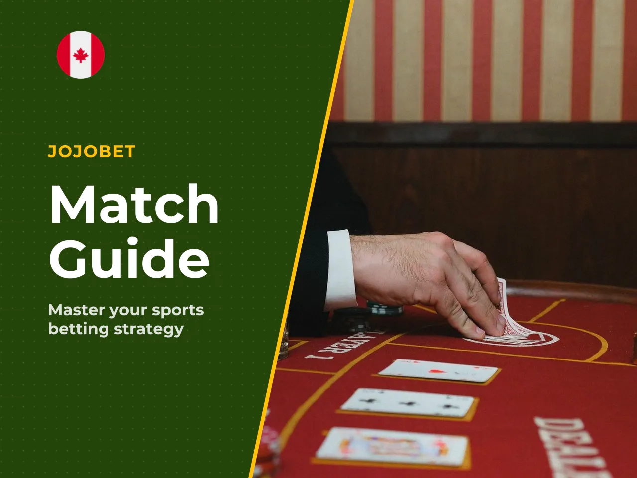 How to use this guide next